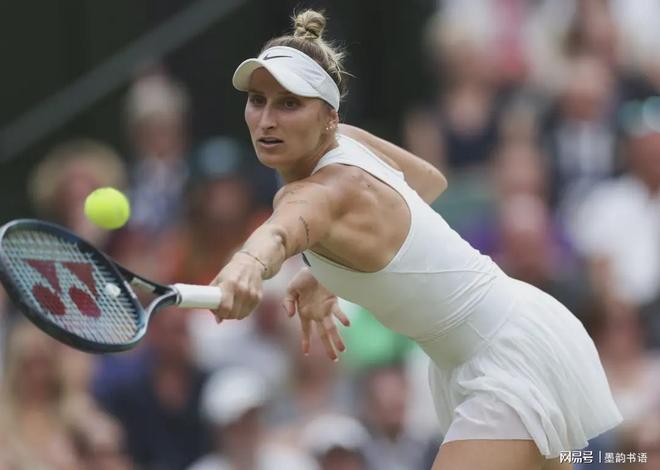 的捍卫者 的捍卫者