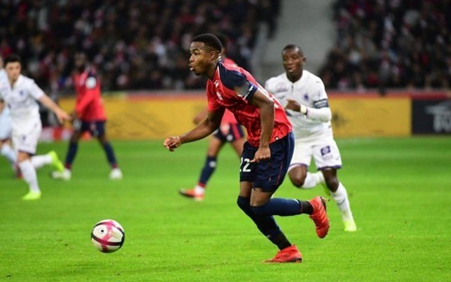 注入了新鲜 注入了新鲜