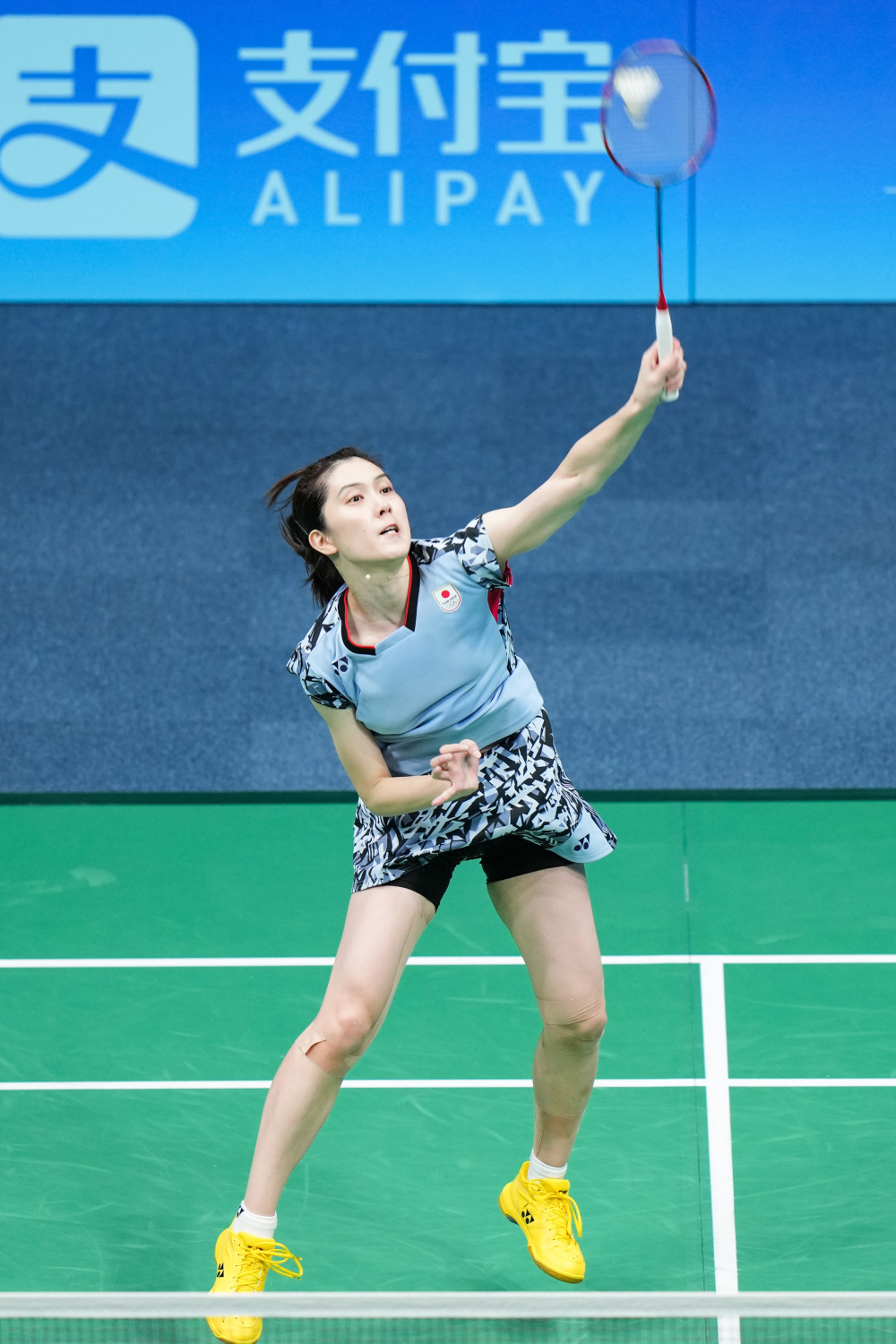 佩莱格里尼 佩莱格里尼